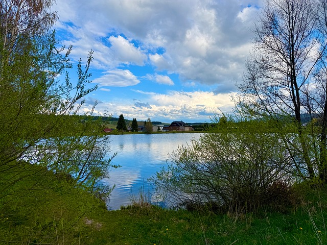 Free Pond Trees photo and picture