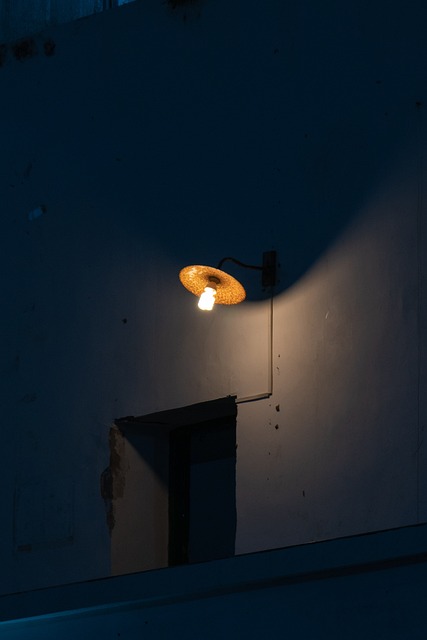 Free Night Scene Light photo and picture