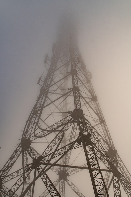 Free Tower Fog photo and picture