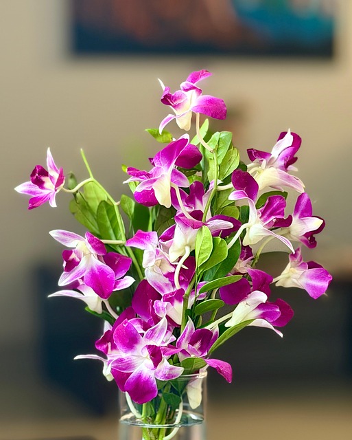 Free Orchid Flower photo and picture