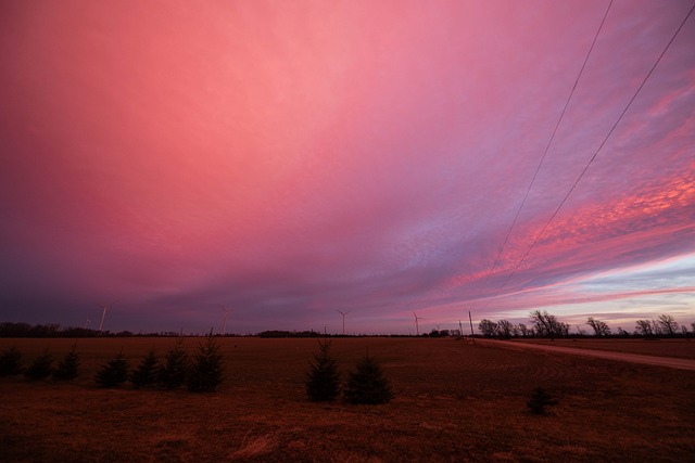 Free Pink Sky Sunrise photo and picture