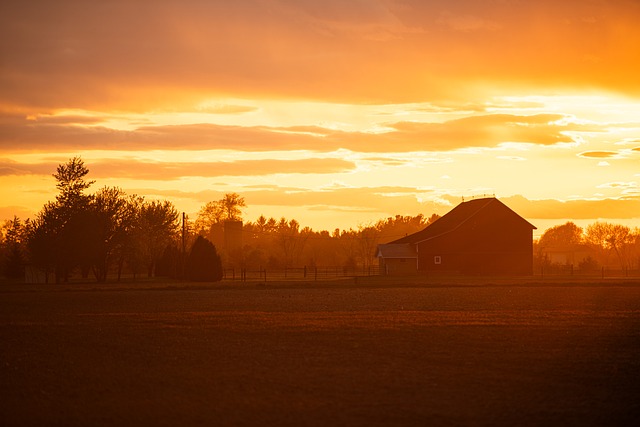 Free Sunset Sunrays photo and picture