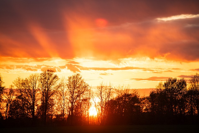 Free Sunset Sunrays photo and picture