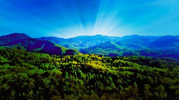 Free Landscape Nature photo and picture