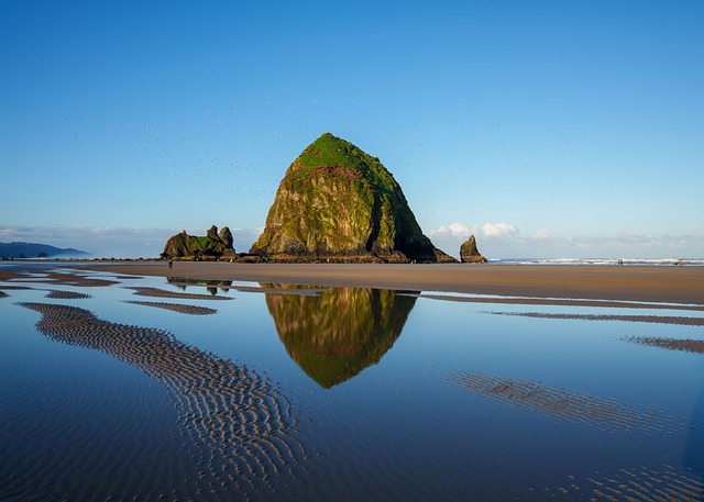 Free Beach Nature photo and picture