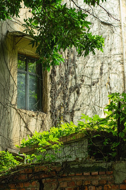 Free Green Nature photo and picture