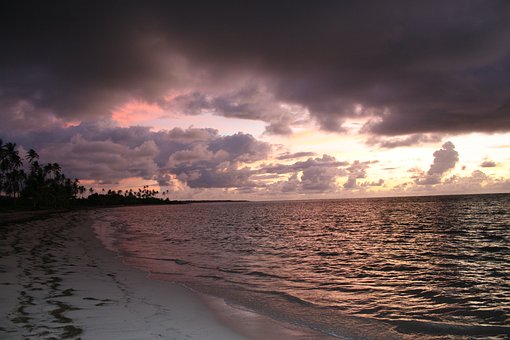 Free Beach Sunset photo and picture