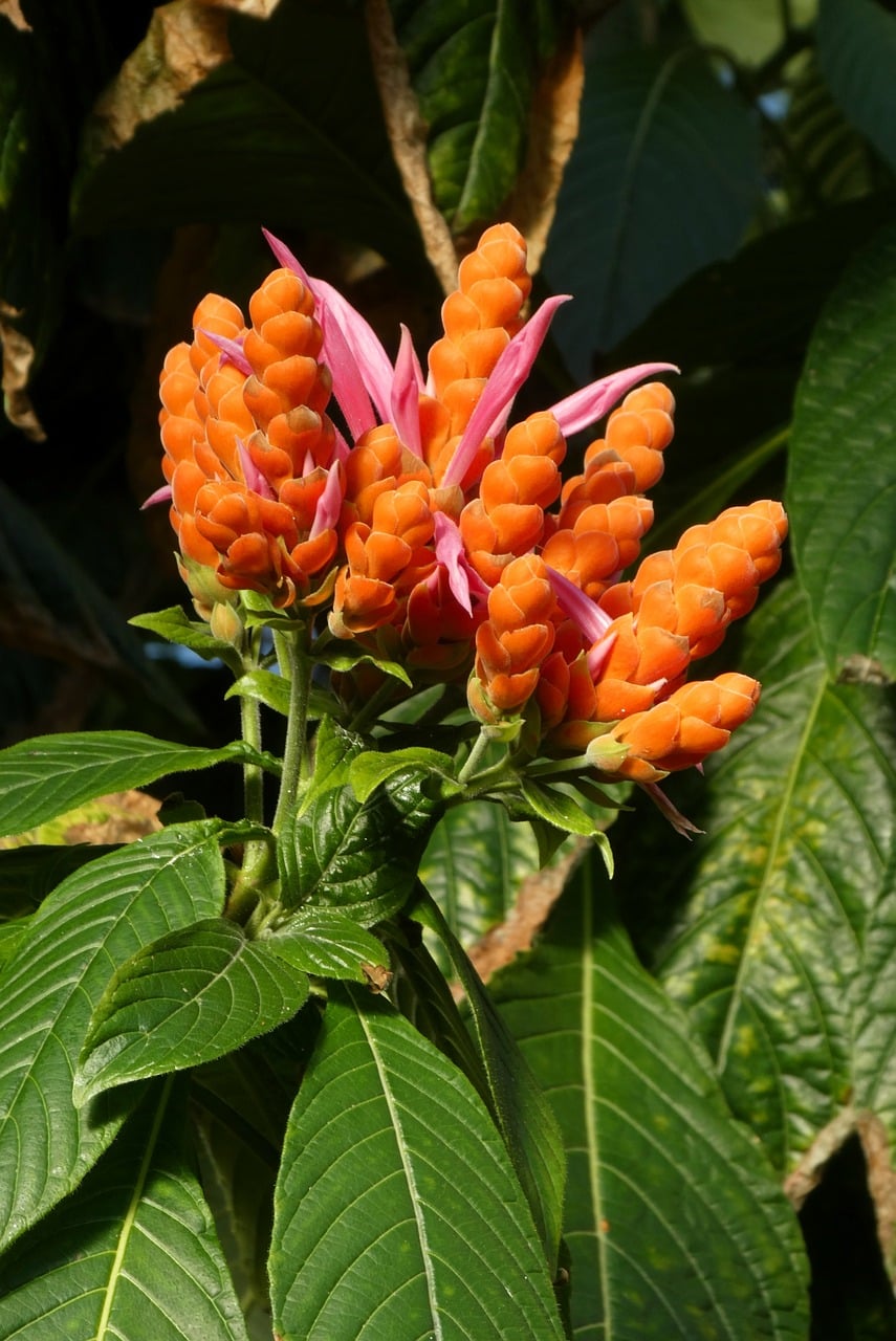 20-07-24-331_1280.jpg