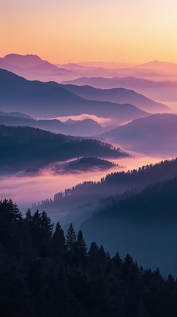 Free mountains morning mist illustration