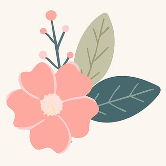 Free Flower Leaf photo and picture