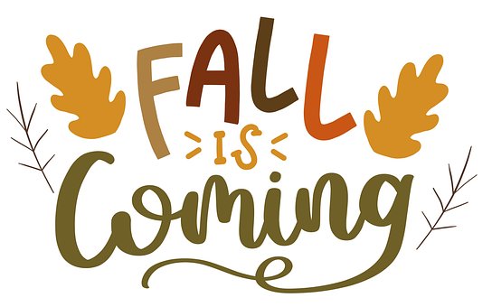 Free Fall Text photo and picture