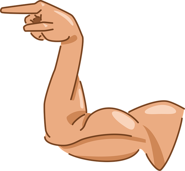 Free arm muscle movement vector