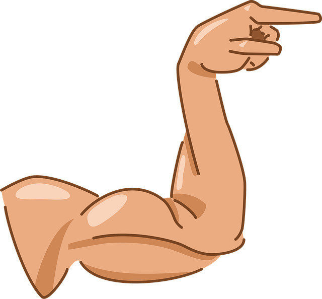 Free arm biceps direction vector