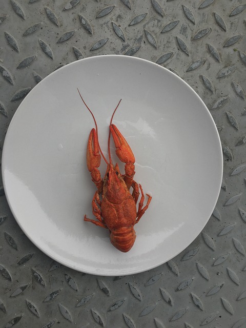 Free Lobster Plate photo and picture