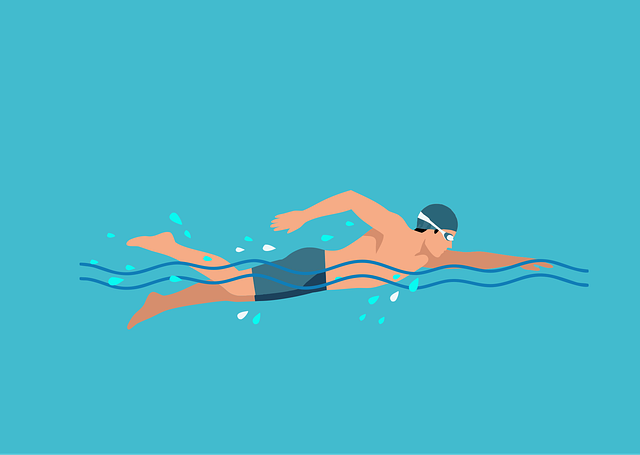Free swimming nature swimmer vector