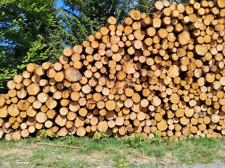 Free Wood Logs photo and picture