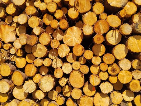 Free Wood Logs photo and picture