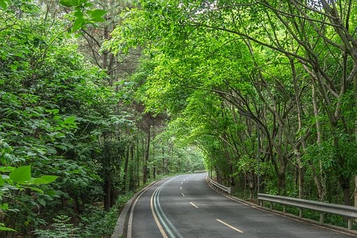 Free Nature Landscape photo and picture