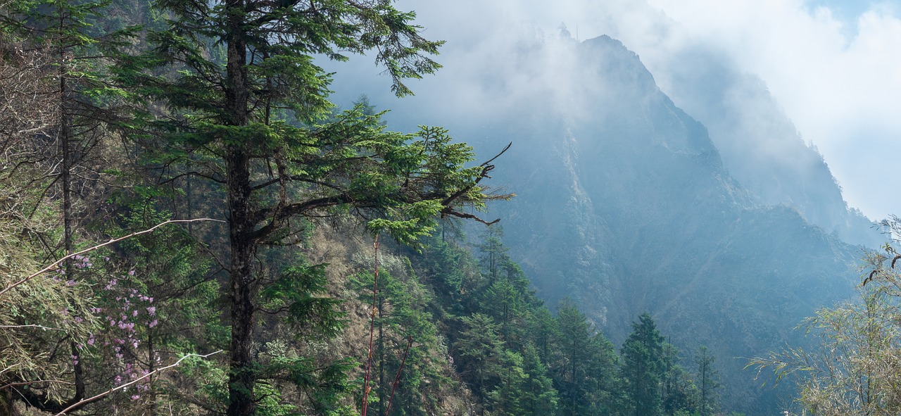 Free Mountains Nature photo and picture
