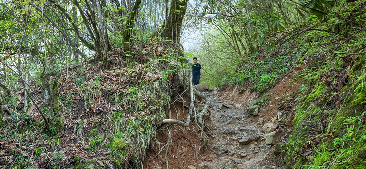 Free Nature Hiking photo and picture