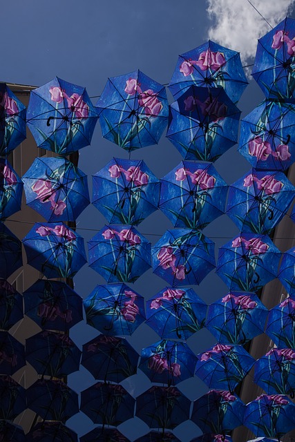Free Umbrellas Flowers photo and picture