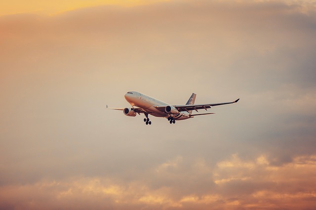 Free Airplane Sunset photo and picture