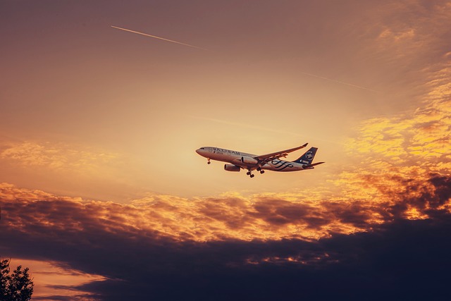 Free Airplane Sunset photo and picture