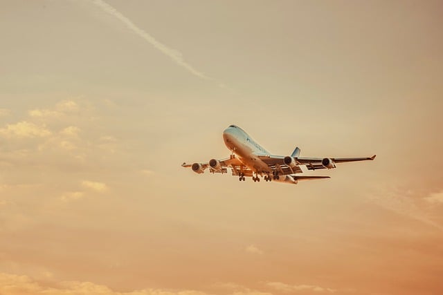 Free Airplane Sunset photo and picture