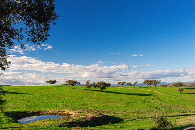 Free Landscape Nature photo and picture
