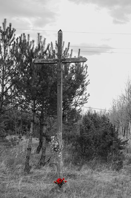 Kruis, Platteland, Bomen, Bos, Religie