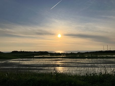 Campo De Arroz, Pôr Do Sol, Reflexo