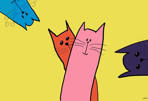 Free Cat Pet illustration and picture