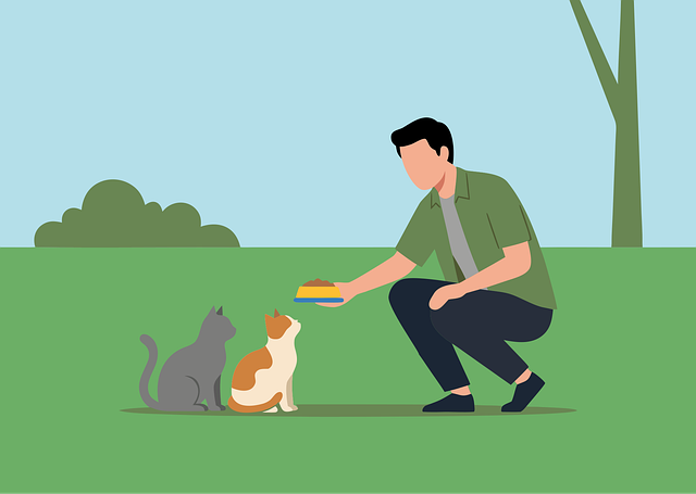 Free cat feeding man vector