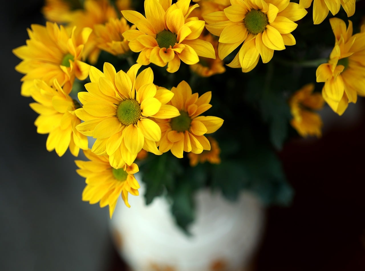 Flowers - free online jigsaw puzzle photo