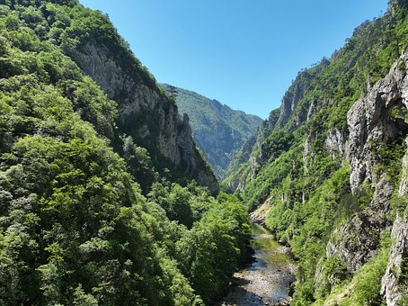 Vallei, Berg, Rivier, Bos, Natuur, Zomer