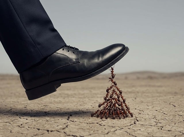 Free teamwork ant business illustration