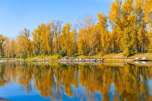 Jeseň, Stromy, Jazero, Odrazenie