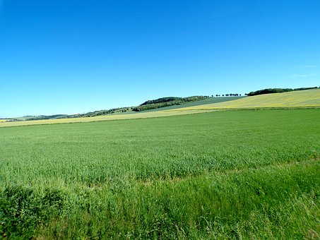 Free Landscape Field photo and picture