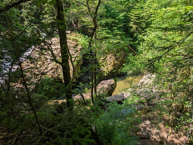 Free Waterfall Nature photo and picture