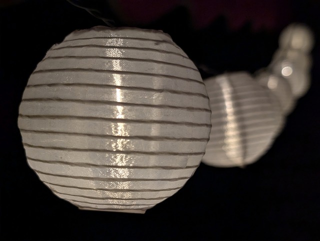 Free Lampion Light photo and picture