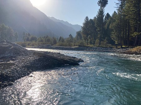 Natur, Landschaft, Wald, Fluss, Berg