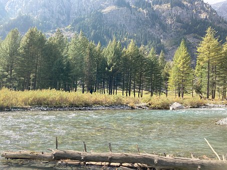 Natur, Landschaft, Wald, Fluss, Wasser