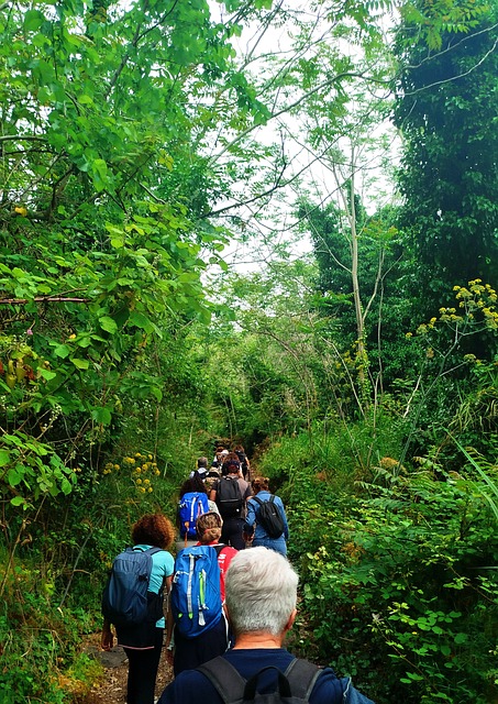 Free Hiking Nature photo and picture