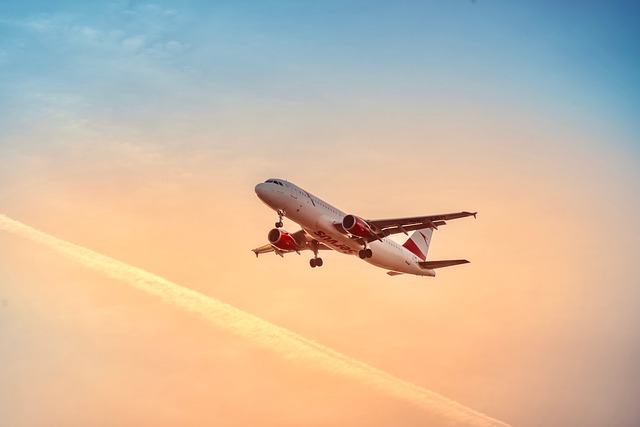 Free Airplane Travel photo and picture