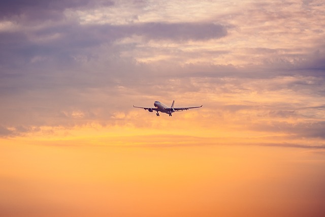 Free Airplane Twilight photo and picture