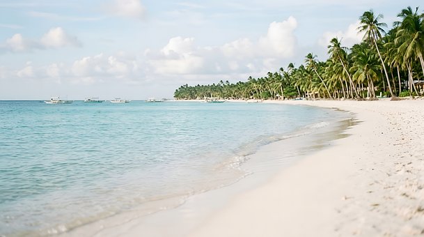Free Beach Ocean illustration and picture