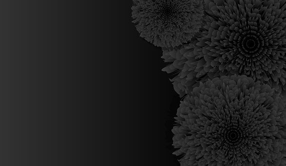 Floral, Preto, Abstrato, Luxo, Elegante