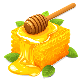 Free Honey Honeycomb illustration and picture