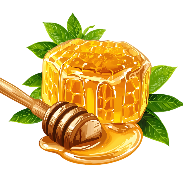 Free honey honeycomb bee product illustration