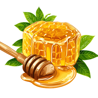 Free Honey Honeycomb illustration and picture